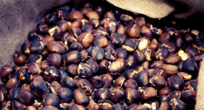 Sagra della Castagna
